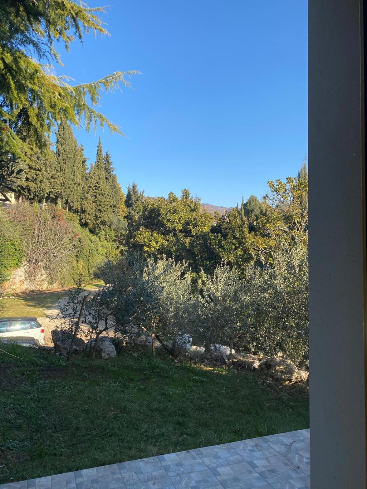 Agriturismo I Merli 산탐브로지오 디 발폴리첼라 외부 사진